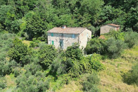 Villa i Lucca, Lucca, Lucca - € 450.000 | Ref: IA03872 - foto 4