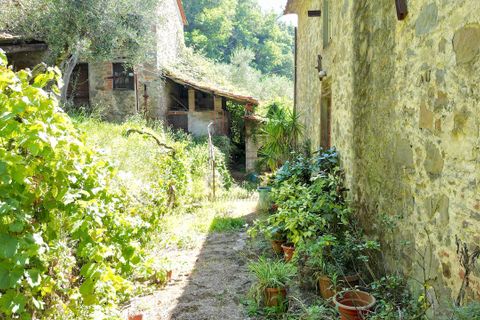 Villa i Lucca, Lucca, Lucca - € 450.000 | Ref: IA03872 - foto 7