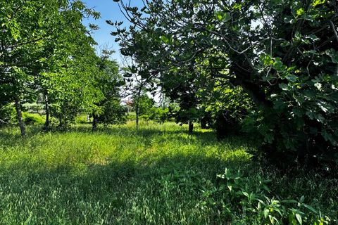 Villa a Belmonte Piceno, Fermo, Belmonte Piceno - € 150.000 | Ref: MG2378 - foto 22
