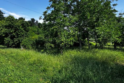 Villa a Belmonte Piceno, Fermo, Belmonte Piceno - € 150.000 | Ref: MG2378 - foto 23