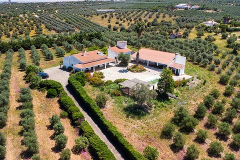 Farm i Moura, Beja, Moura - € 650.000 | Ref: SAVLBN15618 - foto 1