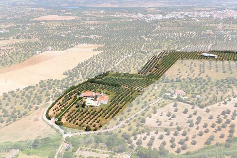 Farm i Moura, Beja, Moura - € 650.000 | Ref: SAVLBN15618 - foto 26