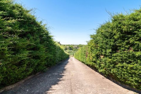 Farm i Moura, Beja, Moura - € 650.000 | Ref: SAVLBN15618 - foto 22