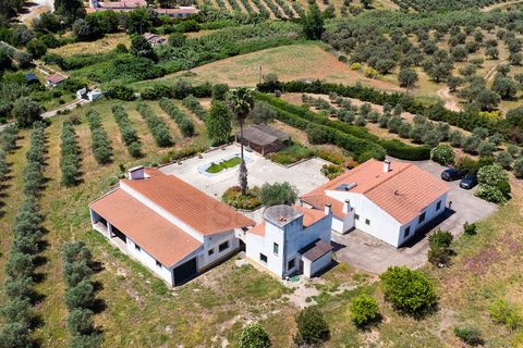 Farm i Moura, Beja, Moura - € 650.000 | Ref: SAVLBN15618 - foto 23