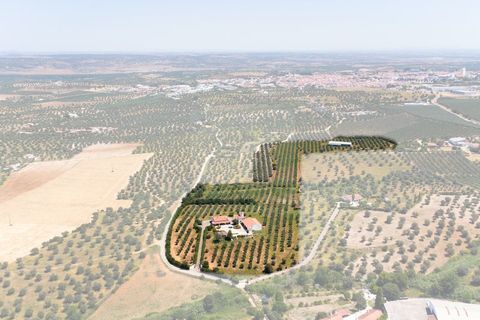 Farm i Moura, Beja, Moura - € 650.000 | Ref: SAVLBN15618 - foto 2