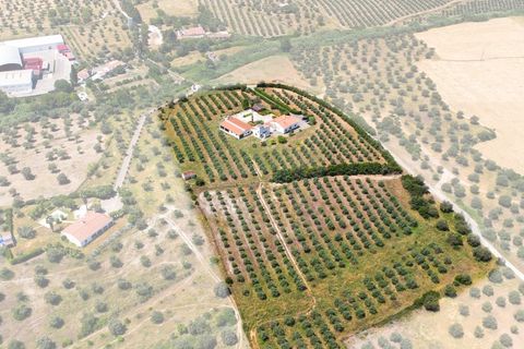 Farm i Moura, Beja, Moura - € 650.000 | Ref: SAVLBN15618 - foto 27