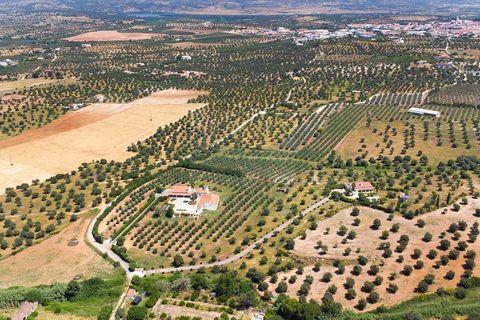 Farm i Moura, Beja, Moura - € 650.000 | Ref: SAVLBN15618 - foto 25