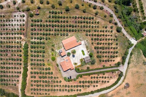 Farm i Moura, Beja, Moura - € 650.000 | Ref: SAVLBN15618 - foto 24
