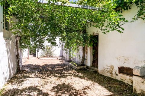 Villa i Santa Eulalia, Portalegre, Santa Eulalia - € 395.000 | Ref: SAVLBN15624 - foto 3