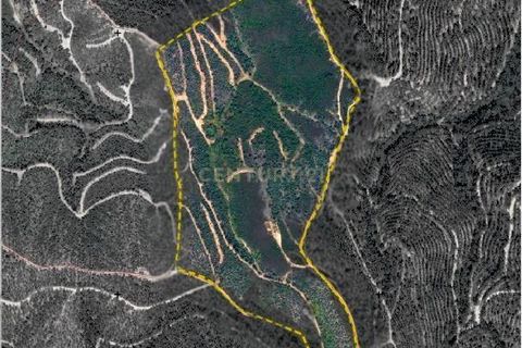 Helårsgrund i Monchique, Faro, Monchique - € 110.000 | Ref: C0507-00243 - foto 2