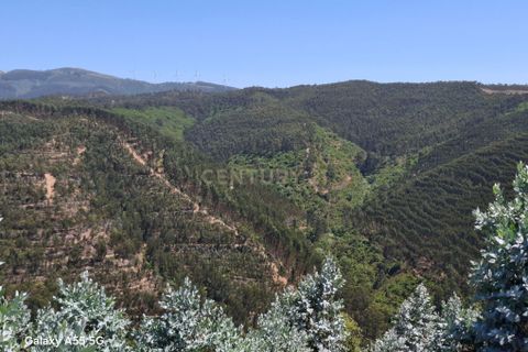 Helårsgrund i Monchique, Faro, Monchique - € 110.000 | Ref: C0507-00243 - foto 4