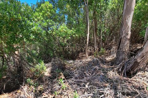 Helårsgrund i Monchique, Faro, Monchique - € 110.000 | Ref: C0507-00243 - foto 5