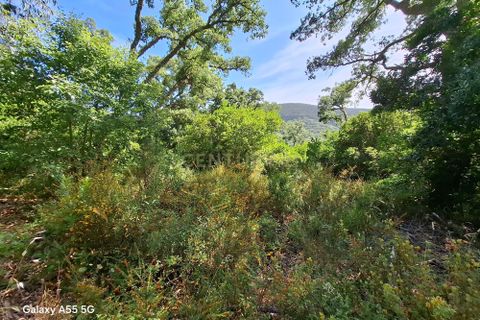 Helårsgrund i Monchique, Faro, Monchique - € 110.000 | Ref: C0507-00243 - foto 6
