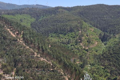 Helårsgrund i Monchique, Faro, Monchique - € 10.000 | Ref: C0507-00241 - foto 3