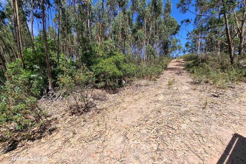 Helårsgrund i Monchique, Faro, Monchique - € 10.000 | Ref: C0507-00241 - foto 8