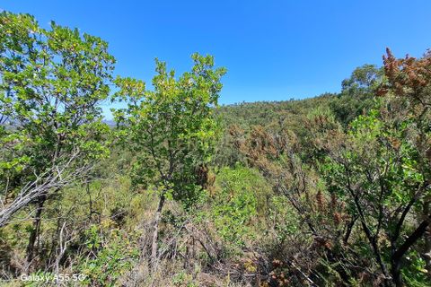 Helårsgrund i Monchique, Faro, Monchique - € 80.000 | Ref: C0507-00242 - foto 2