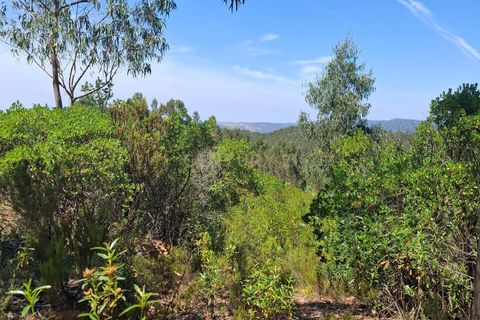 Helårsgrund i Monchique, Faro, Monchique - € 80.000 | Ref: C0507-00242 - foto 5