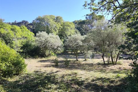 Villa a Varages, Var, Varages - € 129.000 | Ref: 1661 - foto 3