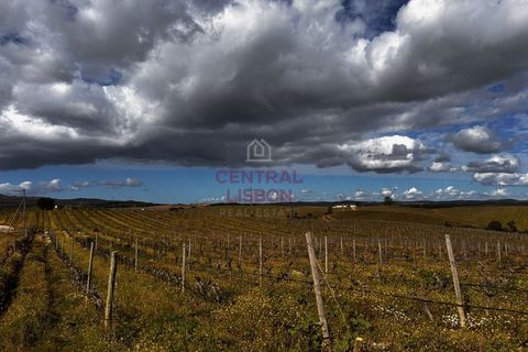Helårsgrund i Alandroal, Evora, Alandroal - € 3.000.000 | Ref: SF0004 - foto 1