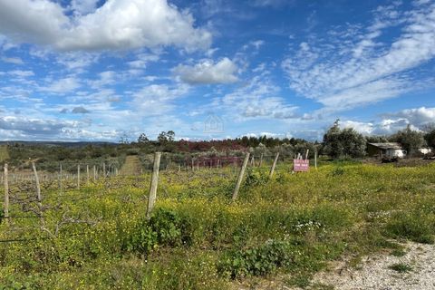 Helårsgrund i Alandroal, Evora, Alandroal - € 3.000.000 | Ref: SF0004 - foto 9