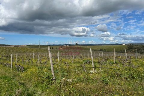 Helårsgrund i Alandroal, Evora, Alandroal - € 3.000.000 | Ref: SF0004 - foto 10