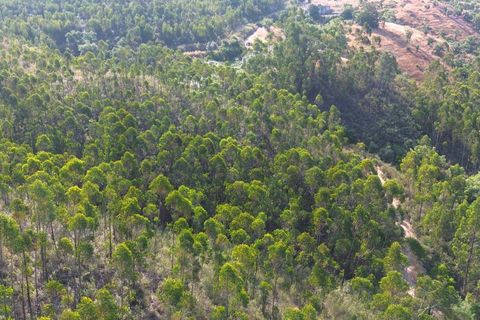 Helårsgrund i Ourique, Beja, Ourique - € 98.500 | Ref: KWPT-017700 - foto 11