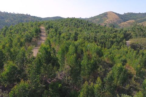 Helårsgrund i Ourique, Beja, Ourique - € 98.500 | Ref: KWPT-017700 - foto 12