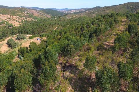 Helårsgrund i Ourique, Beja, Ourique - € 98.500 | Ref: KWPT-017700 - foto 13