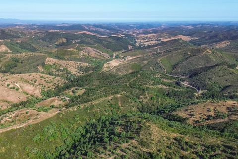 Helårsgrund i Ourique, Beja, Ourique - € 98.500 | Ref: KWPT-017700 - foto 15