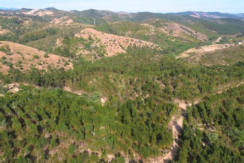 Helårsgrund i Ourique, Beja, Ourique - € 98.500 | Ref: KWPT-017700 - foto 16