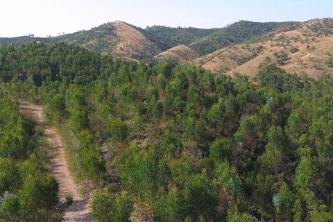 Helårsgrund i Ourique, Beja, Ourique - € 98.500 | Ref: KWPT-017700 - foto 17