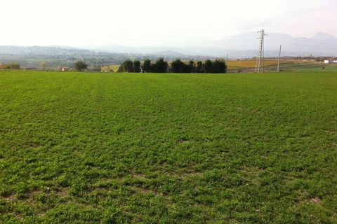 Helårsgrund i Benevento, Benevento, Benevento - € 39.000 | Ref: AA21876 - foto 1
