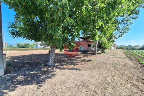 Villa i Benevento, Benevento, Benevento - € 330.000 | Ref: AA39709 - foto 3