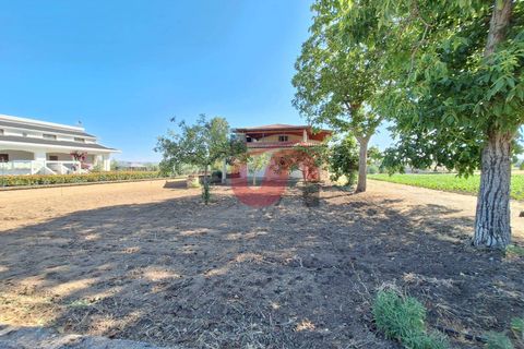Villa i Benevento, Benevento, Benevento - € 330.000 | Ref: AA39709 - foto 4