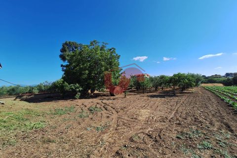 Villa i Benevento, Benevento, Benevento - € 330.000 | Ref: AA39709 - foto 8