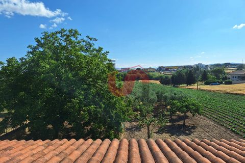 Villa i Benevento, Benevento, Benevento - € 330.000 | Ref: AA39709 - foto 18