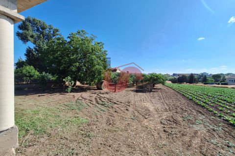 Villa i Benevento, Benevento, Benevento - € 330.000 | Ref: AA39709 - foto 25