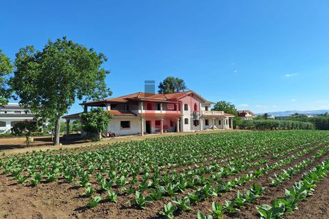 Villa i Benevento, Benevento, Benevento - € 330.000 | Ref: AA39709 - foto 28
