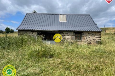 Tomt i Pierrefort, Cantal, Pierrefort - € 67 500 | Ref: 100CAL109963 - foto 4