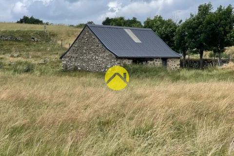 Tomt i Pierrefort, Cantal, Pierrefort - € 67 500 | Ref: 100CAL109963 - foto 5
