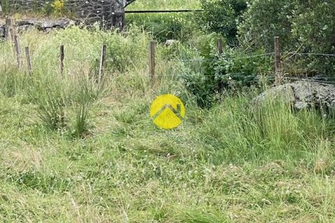Tomt i Pierrefort, Cantal, Pierrefort - € 67 500 | Ref: 100CAL109963 - foto 6