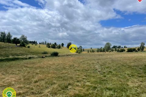 Tomt i Pierrefort, Cantal, Pierrefort - € 67 500 | Ref: 100CAL109963 - foto 8