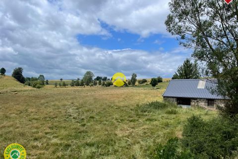 Tomt i Pierrefort, Cantal, Pierrefort - € 67 500 | Ref: 100CAL109963 - foto 9