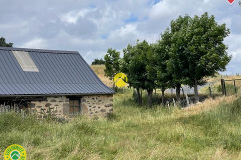 Tomt i Pierrefort, Cantal, Pierrefort - € 67 500 | Ref: 100CAL109963 - foto 11