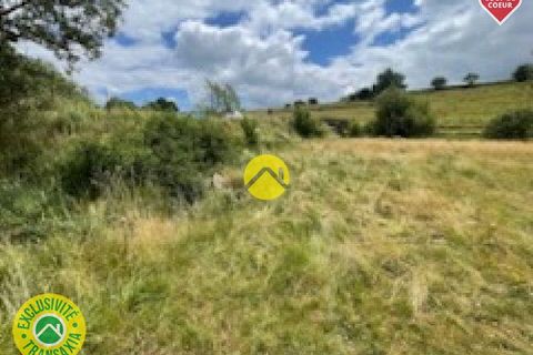 Tomt i Pierrefort, Cantal, Pierrefort - € 67 500 | Ref: 100CAL109963 - foto 12