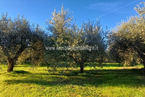 Helårsgrund i Chiusi, Siena, Chiusi - € 15.000 | Ref: TA29 - foto 1