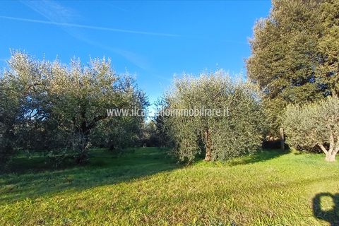 Helårsgrund i Chiusi, Siena, Chiusi - € 15.000 | Ref: TA29 - foto 2