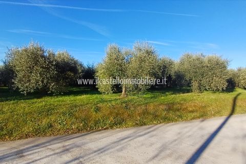 Helårsgrund i Chiusi, Siena, Chiusi - € 15.000 | Ref: TA29 - foto 4