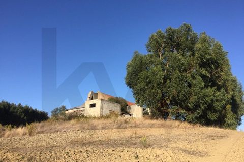 Farm i Alenquer, Lisbon, Alenquer - € 1.500.000 | Ref: KWPT-015114 - foto 6