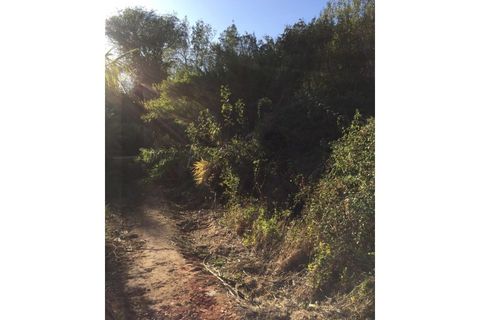 Farm i Alenquer, Lisbon, Alenquer - € 1.500.000 | Ref: KWPT-015114 - foto 7